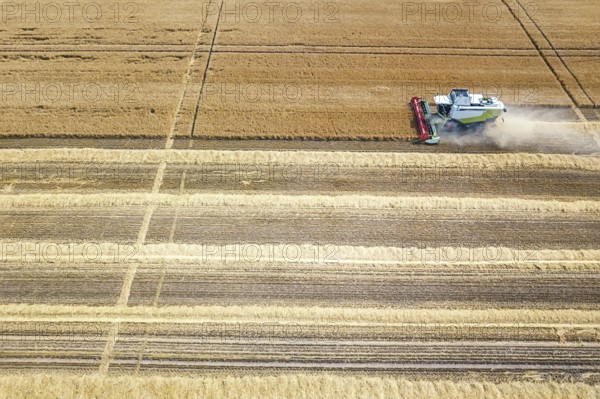 Combine harvester working on a wheat field. Combine harvester Aerial view