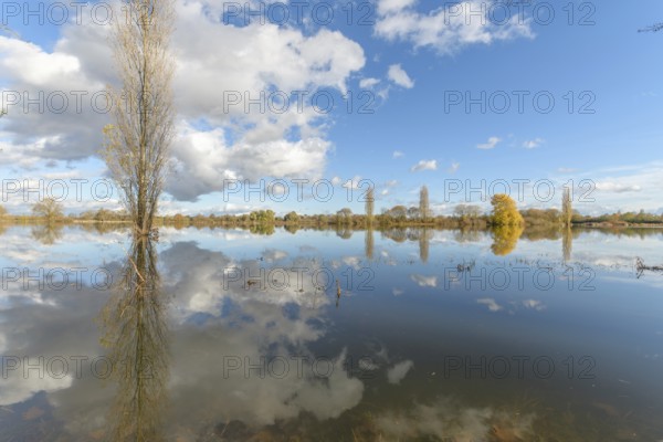 Flooded meadow after heavy rains. Autumn landscape. Bas-Rhin, Collectivite europeenne d'Alsace, Grand Est, France, Europe
