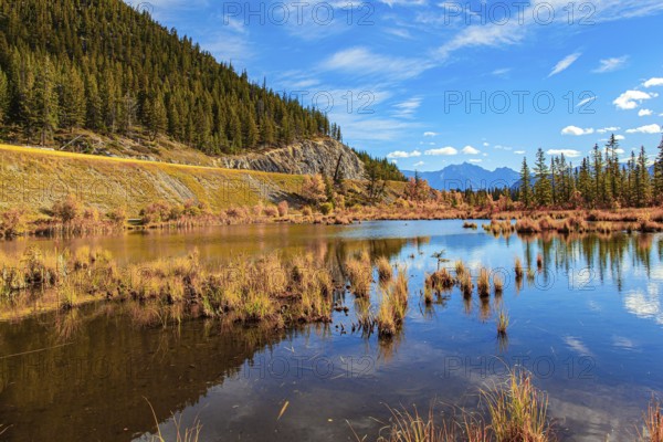 Evergreen forests in the mountains of Canada. Red, yellow and orange foliage on the shores of the Lake Vermillon. Indian summer in the Rocky Mountains