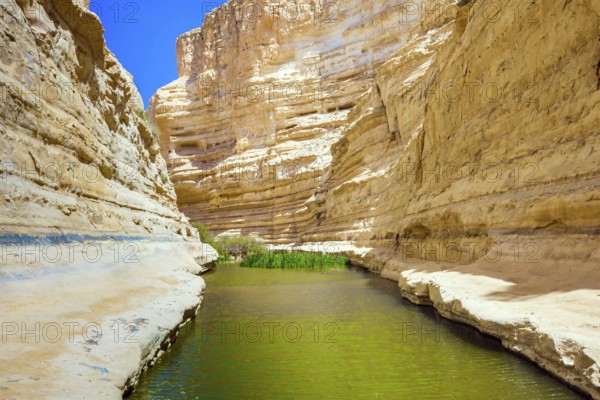 The canyon Ein Avdat is formed by the Qing River in the Negev desert. The greenish mirror water of a small lake. There are many caves in the steep walls of the canyon. Israel
