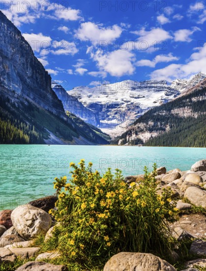 Glacial Lake Louise. Sunny fine day. Travel to the Rocky Mountains of Canada. The lake with azure water is surrounded by mountains and forests. The concept of ecological, active and photo tourism