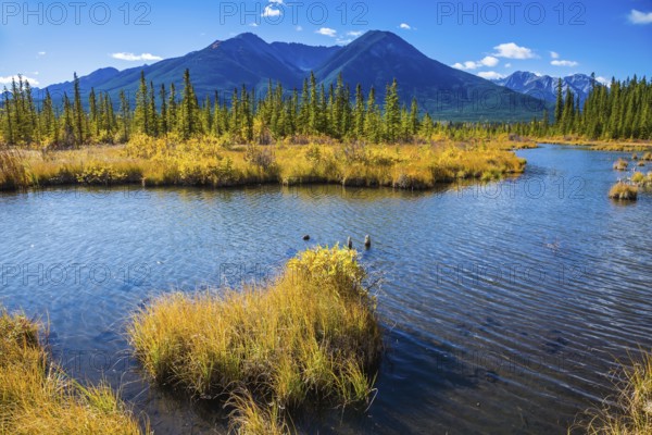 Canadian province of Alberta, the Rocky Mountains, Banff. Easy breeze on the lake Vermillon. Concept of ecotourism
