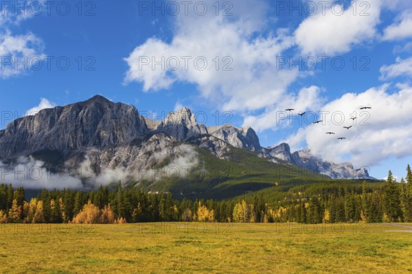 The city of Canmore is surrounded by the Rocky Mountains. Huge Andean condors flock flies over the mountains. The concept of active, ecological and photo tourism