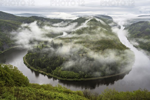 The Saarschleife in Mettlach is covered in fog in the morning in spring, Germany, Europe
