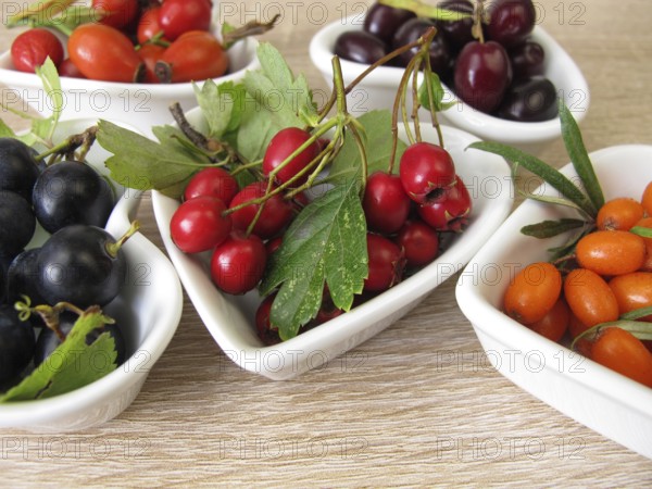 Wild fruits in autumn with cornelian cherries, sea buckthorn, rose hips, sloes and hawthorn