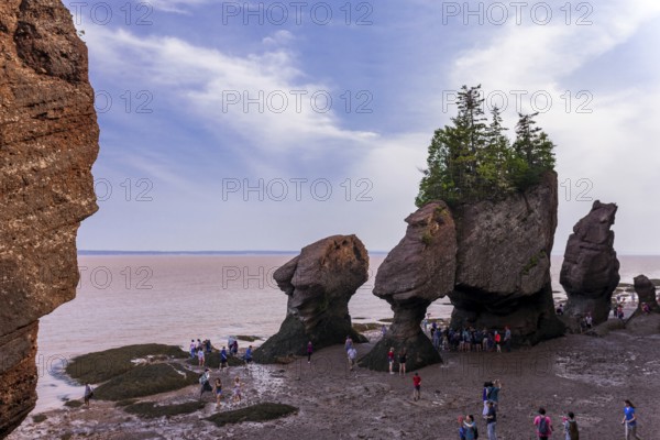 The distinctive sea staks and rock formations best known as Flowerpot Rocks in Hopwell Rocks Provincial Park in New Brunswick, Canada, North America
