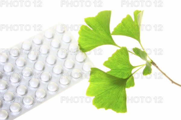 Ginkgo leaves with coated tablets for oral use (symbolic) Leaves of the ginkgo tree and coated tablets for oral use (symbolic)