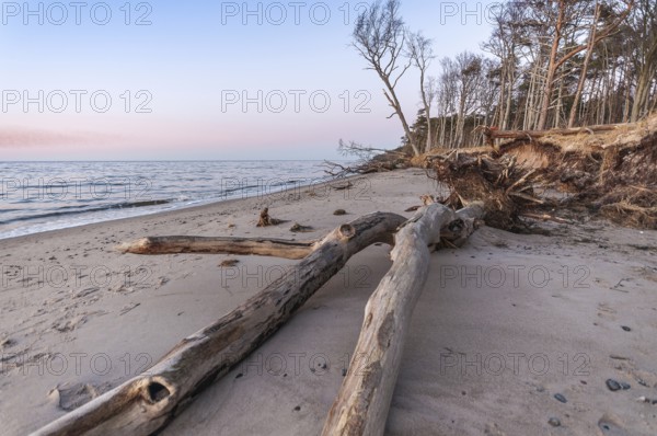 West coast on the Darß