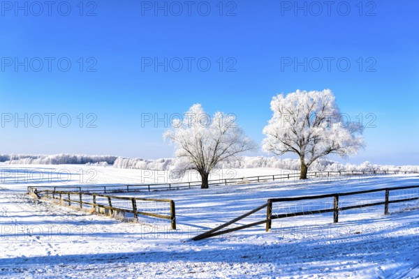Snow-covered landscape in winter in Masuria in eastern Poland
