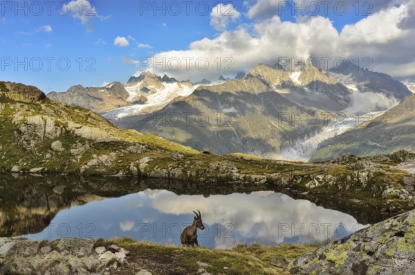 Beautiful unspoilt nature, a wonderful destination for vacation and relaxation