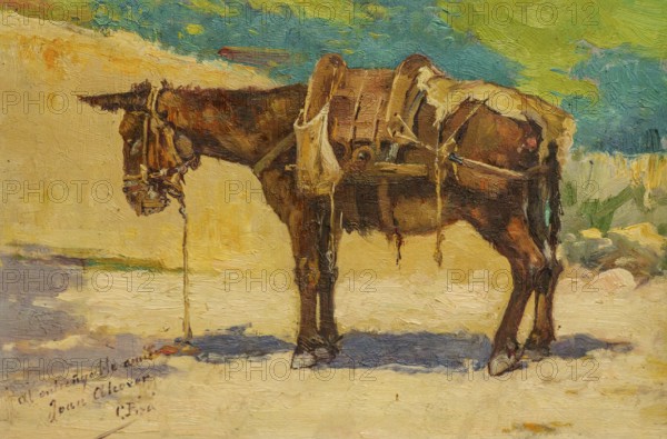Mule with harness, Cristofol Piza, oil on canvas, Palma, Majorca, Spain, Europe