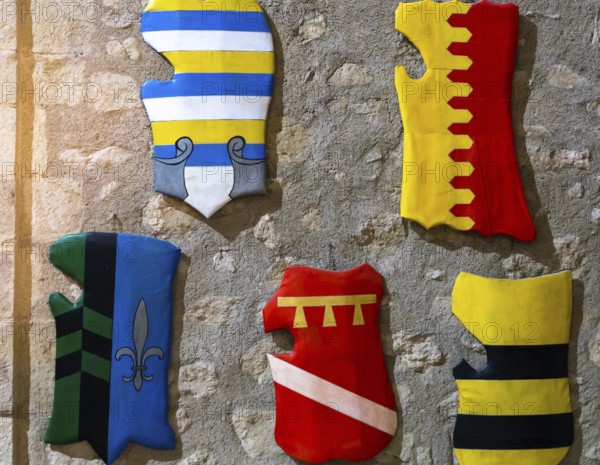 The medieval shields inside an ancient castle