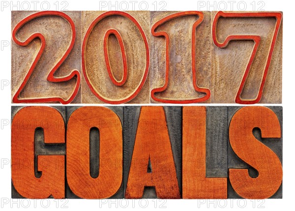 2017 goals banner - New Year resolution concept - isolated text in vintage letterpress wood type printing blocks stained by red ink