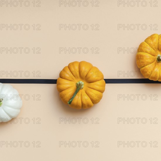 Creative Top view flat lay autumn composition. Frame concept pumpkins color paper background copy space. Square template fall harvest thanksgiving halloween anniversary invitation cards