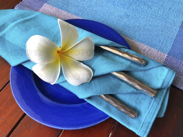 Food decoration with white plumeria rubra flower, Sri Lanka. Blue food decoration