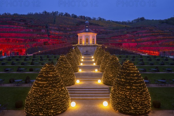 Adventure winery to shine in special splendour from next week Radebeul, 1 November 2024 From 8 November, Schloss Wackerbarth will once again illuminate its baroque grounds and the Wackerbarthberg in festive light. Every day from 3 pm, around 5, 500 points of light and numerous Herrnhut stars will transform the entire ensemble of Europe's first adventure winery into a wonderful world of light, music and enjoyment. As darkness falls, the baroque buildings and historic vineyard walls as well as vines, hedges and trees glow in warm colours. Fairytale lanterns, light sculptures and selected illuminations invite you to take a tour of the romantically sparkling vineyard. Radebeul, Saxony, Germany, Europe