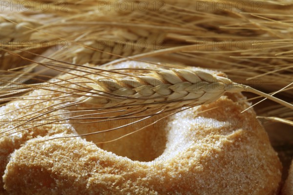 Delicious roll bakery with sugar and wheat ear spikes