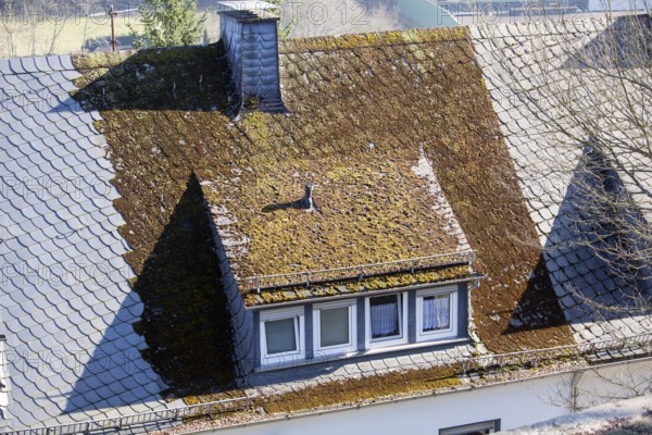 New slate roof without moss and old roof with moss, North Rhine-Westphalia, Germany, Europe, neues Schieferdach ohne Moos und altes Dach mit Moos, Nordrhein-Westfalen, Deutschland, Europa, Europe