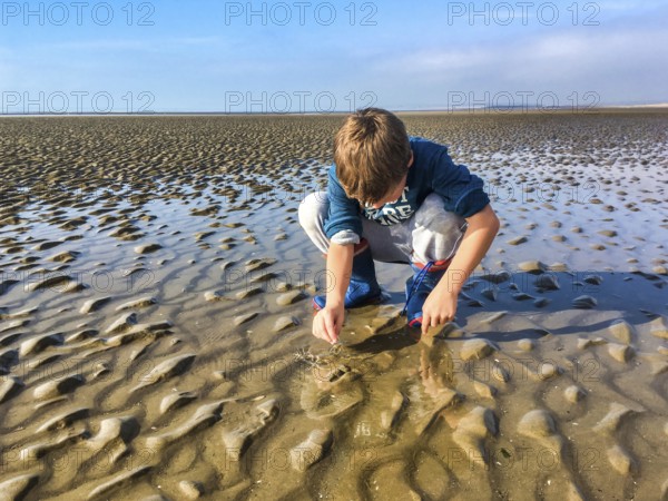 Boy playing in the water at low tide on the beach