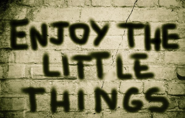 Enjoy The Little Things Concept