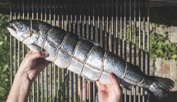Raw salmon fish on grill. Outdoor cooking