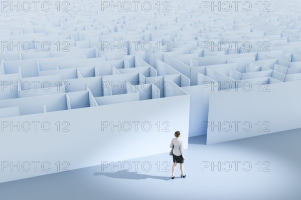 3d illustration of a business woman at the maze