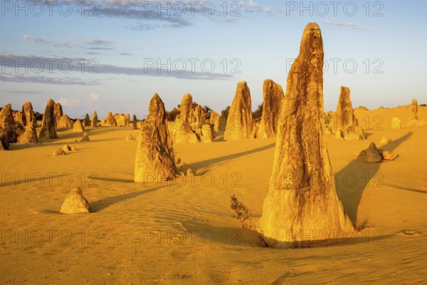 An image of the beautiful Pinnacles Desert in western Australia