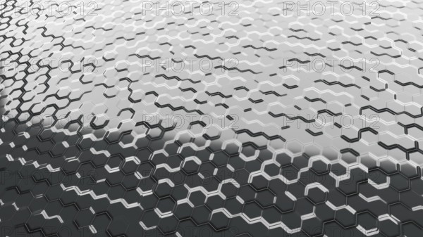An illustration of an abstract black and white cells background