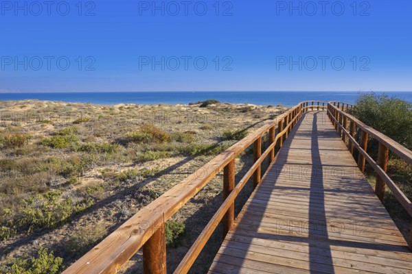 Arenals del Sol Beach dunes in Elche Elx of Alicante in Costa Blanca at Spain