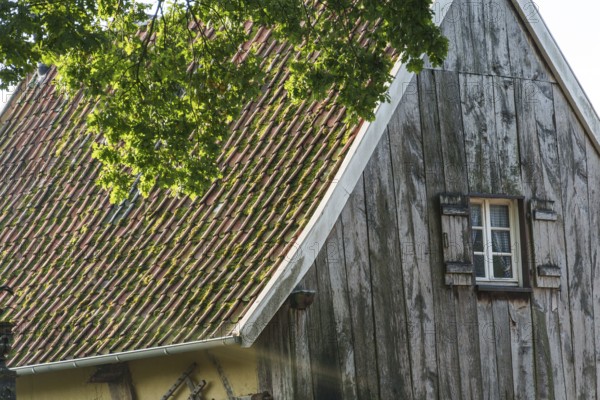 Partial view of an old building with wooden walls and shingle roof, green tree in the foreground, weseke, münsterland, germany