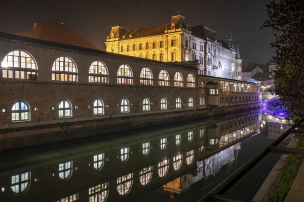 Iconic building of the central market in Ljubljana illuminated at night, Slovenia, Europe