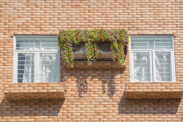 Two windows in wall - two air conditioners covered with flowers between