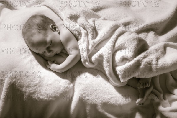 Gesundes neugeborenes Baby Junge zwei Wochen alt schlafen