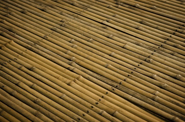 Detail of bamboo surface