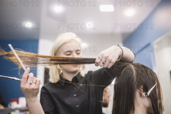 Hairdresser holding scissors and comb and makes haircut woman client. Young beautiful woman hair cut in beauty salon. Process of hair cutting with use scissors. Hairdresser trimming brown
