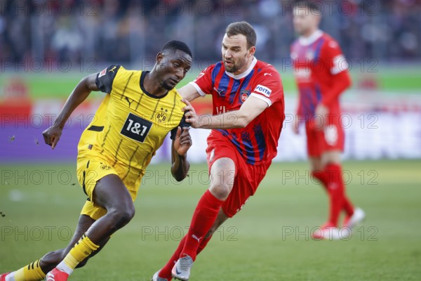 Germany: Soccer 1st Bundesliga, Matchday 20 - 1. FC Heidenheim vs. Borussia Dortmund - Voith-Arena Heidenheim: Serhou GUIRASSY Borussia Dortmund left in a duel with Benedikt GIMBER 1. FC Heidenheim, who tries to hold him down