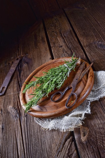 Herbal collection of: thyme, oregano, rosemary