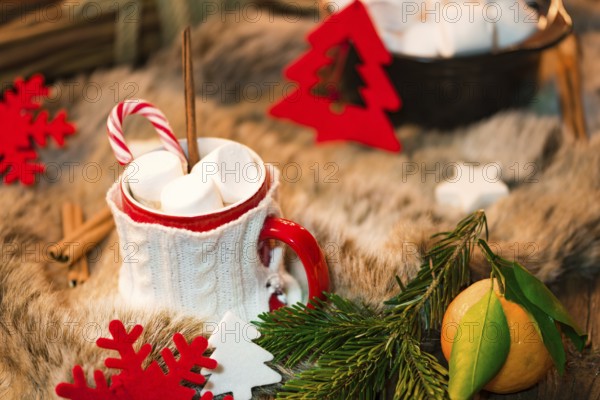 Hot chocolate with marshmallows