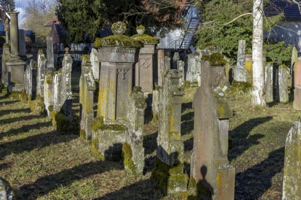 Jewish cemetery with gravestones and grave slabs with green moss, Bad-Buchau, Upper Swabia, Baden-Württemberg, Germany, Europe