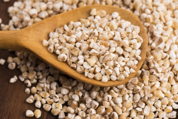 Barley groats on wooden spoon