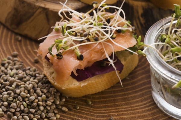 Cannabis spouts dish. superfoods
