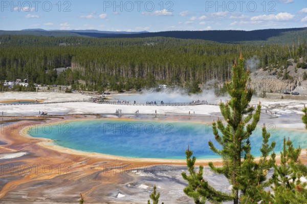 Grand Prismatic Spring Pool In Yellowstone National Park, Wyoming, USA, USA, North America