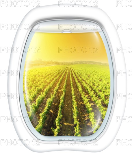 Plane window on Napa Valley at sunset, California, United States, from a plane through the porthole. Copy space, North America