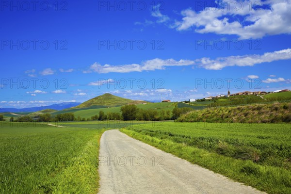Cereal fields by The Way of Saint James in Castilla near Burgos