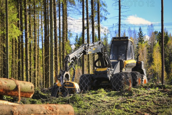 Ponsse Ergo forest harvester on logging site in autumnal coniferous forest. Vihti, Finland. October 1, 2016