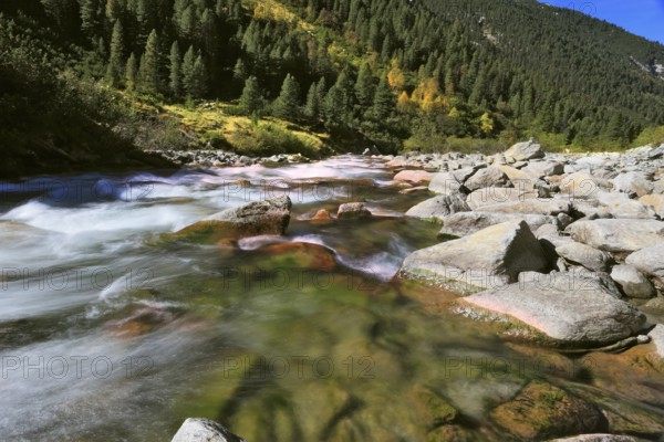 Pastoral in the Alpine mountain valley in Austria. Rapid mountain stream. Cascades of cold water at the source of the Krimml waterfalls