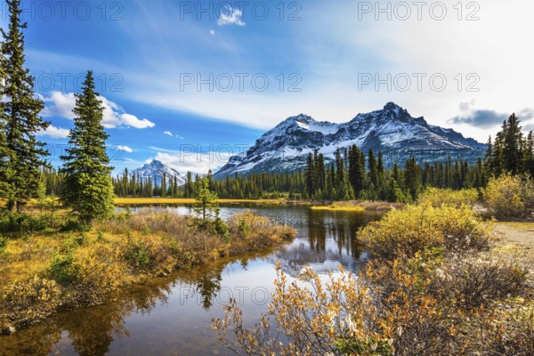 Pine trees reflected in smooth water of the lake. Sunny day. Waterlogged valley in the snowy Rocky Mountains. The concept of ecotourism and active tourism
