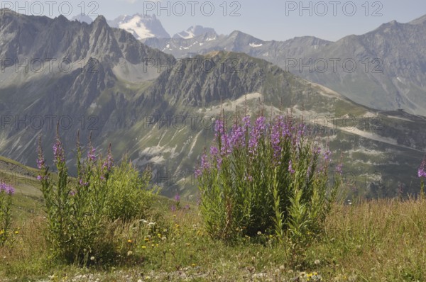 Mountain panorama of Savoy near Valloire