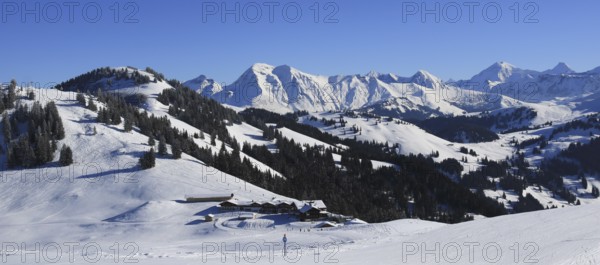 Restaurant Horneggli and ski slopes
