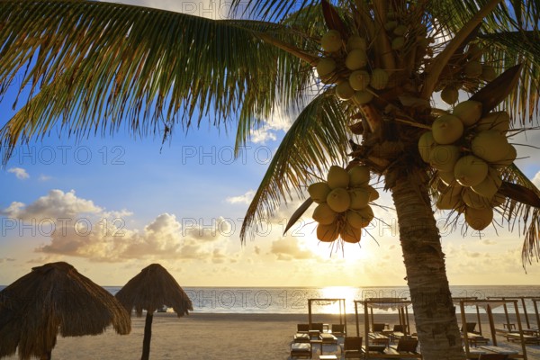 Riviera Maya sunrise beach pal trees at Mayan Mexico